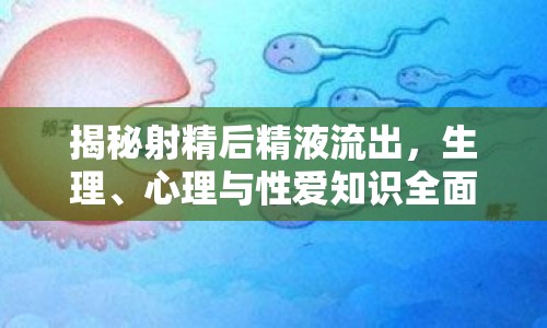 揭秘射精后精液流出，生理、心理與性愛知識(shí)全面解析