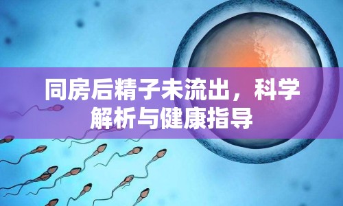 同房后精子未流出，科學(xué)解析與健康指導(dǎo)