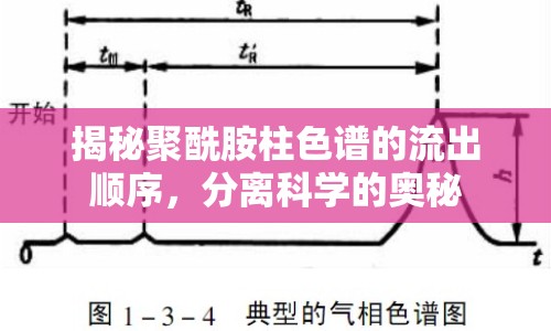 揭秘聚酰胺柱色譜的流出順序，分離科學(xué)的奧秘