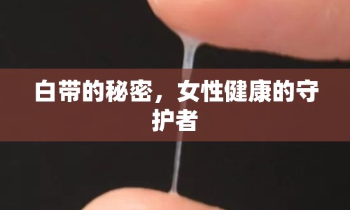 白帶的秘密，女性健康的守護(hù)者