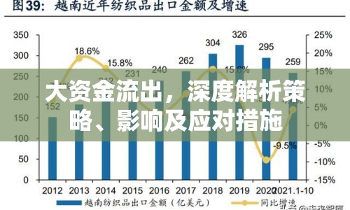 大資金流出，深度解析策略、影響及應(yīng)對(duì)措施