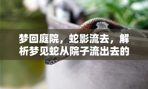 夢回庭院，蛇影流去，解析夢見蛇從院子流出去的深層含義