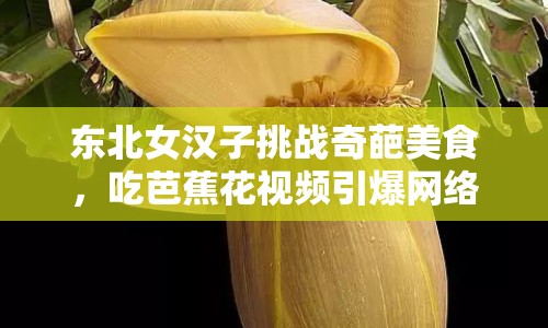 東北女漢子挑戰(zhàn)奇葩美食，吃芭蕉花視頻引爆網(wǎng)絡(luò)