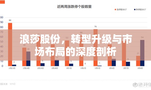 浪莎股份，轉(zhuǎn)型升級(jí)與市場(chǎng)布局的深度剖析