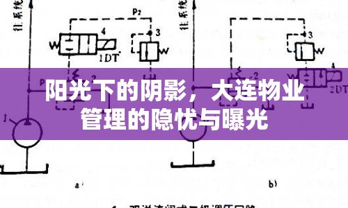 陽光下的陰影，大連物業(yè)管理的隱憂與曝光