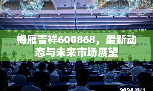 梅雁吉祥600868，最新動(dòng)態(tài)與未來市場(chǎng)展望