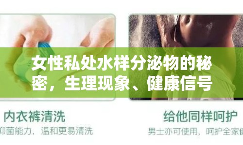 女性私處水樣分泌物的秘密，生理現(xiàn)象、健康信號(hào)與日常護(hù)理指南