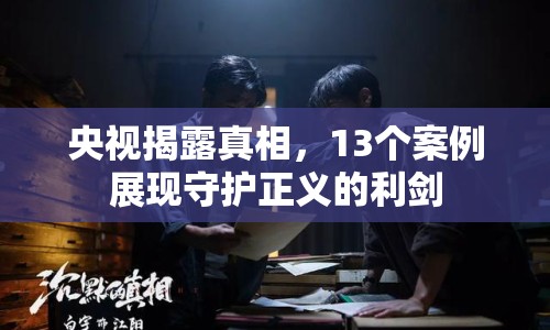 央視揭露真相，13個案例展現(xiàn)守護正義的利劍