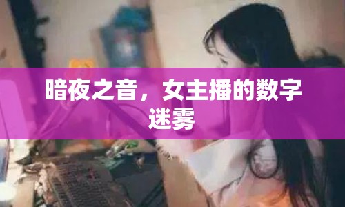 暗夜之音，女主播的數(shù)字迷霧