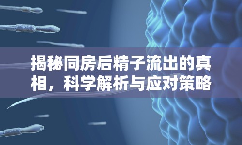 揭秘同房后精子流出的真相，科學解析與應對策略