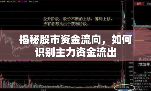 揭秘股市資金流向，如何識別主力資金流出