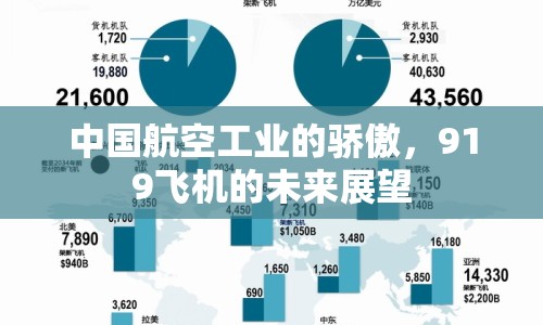 中國(guó)航空工業(yè)的驕傲，919飛機(jī)的未來(lái)展望