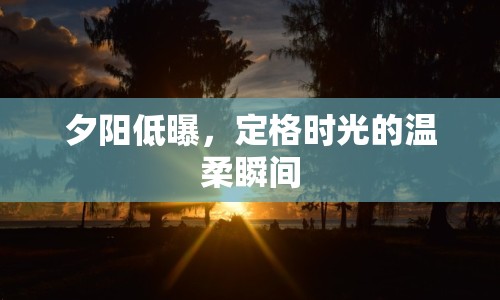 夕陽低曝，定格時光的溫柔瞬間