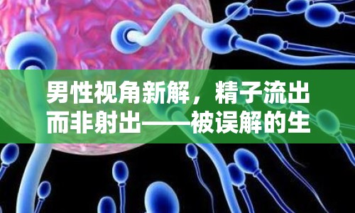 男性視角新解，精子流出而非射出——被誤解的生理現(xiàn)象