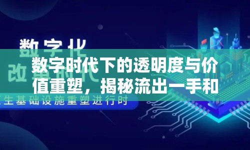 數(shù)字時代下的透明度與價值重塑，揭秘流出一手和值