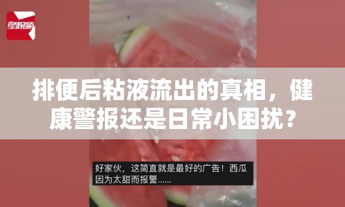 排便后粘液流出的真相，健康警報還是日常小困擾？