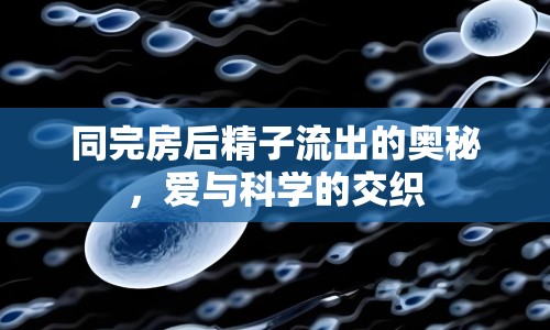 同完房后精子流出的奧秘，愛與科學(xué)的交織