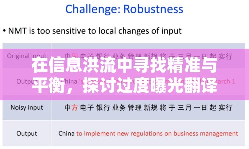 在信息洪流中尋找精準(zhǔn)與平衡，探討過(guò)度曝光翻譯的挑戰(zhàn)與策略