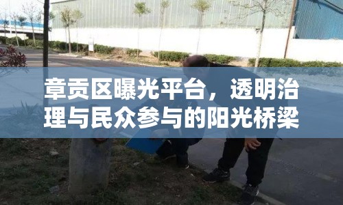 章貢區(qū)曝光平臺，透明治理與民眾參與的陽光橋梁