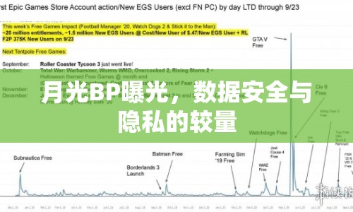 月光BP曝光，數(shù)據(jù)安全與隱私的較量