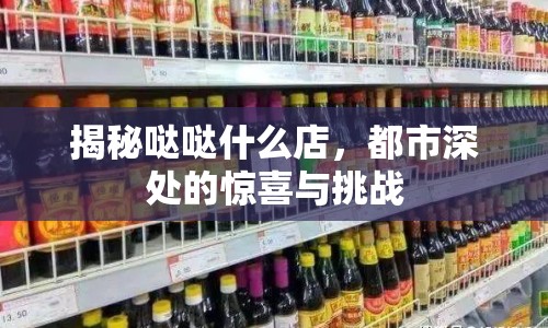 揭秘噠噠什么店，都市深處的驚喜與挑戰(zhàn)