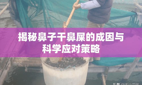 揭秘鼻子干鼻屎的成因與科學(xué)應(yīng)對(duì)策略