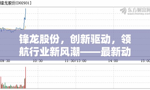 鋒龍股份，創(chuàng)新驅(qū)動，領(lǐng)航行業(yè)新風(fēng)潮——最新動態(tài)與未來展望