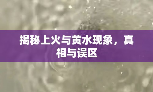 揭秘上火與黃水現(xiàn)象，真相與誤區(qū)