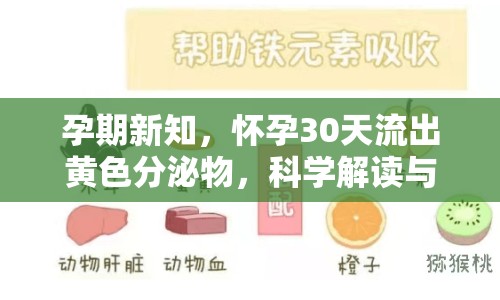 孕期新知，懷孕30天流出黃色分泌物，科學(xué)解讀與應(yīng)對策略