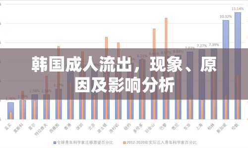 韓國成人流出，現(xiàn)象、原因及影響分析