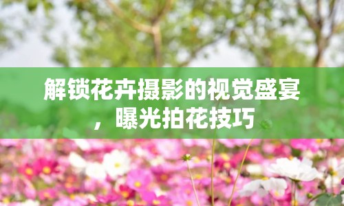 解鎖花卉攝影的視覺盛宴，曝光拍花技巧