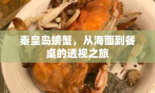 秦皇島螃蟹，從海面到餐桌的透視之旅