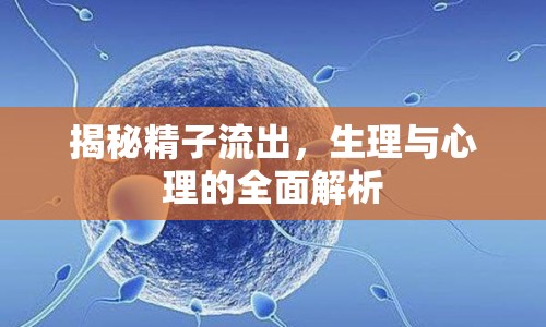 揭秘精子流出，生理與心理的全面解析