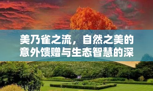 美乃雀之流，自然之美的意外饋贈(zèng)與生態(tài)智慧的深刻啟示