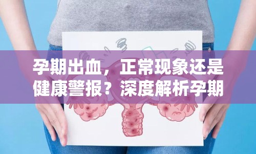 孕期出血，正常現(xiàn)象還是健康警報？深度解析孕期健康問題