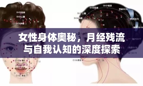 女性身體奧秘，月經(jīng)殘流與自我認(rèn)知的深度探索