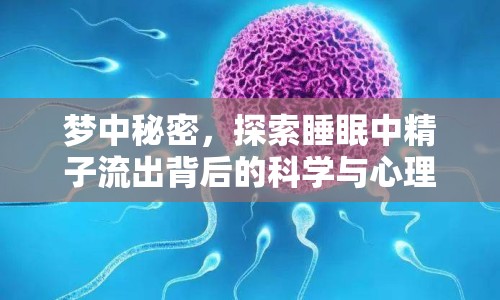 夢中秘密，探索睡眠中精子流出背后的科學(xué)與心理