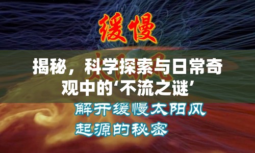 揭秘，科學(xué)探索與日常奇觀中的‘不流之謎’