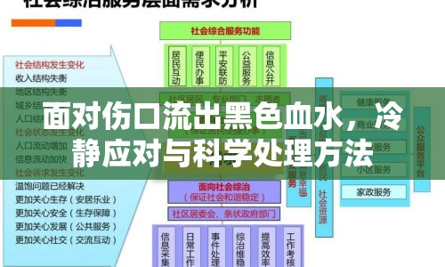 面對傷口流出黑色血水，冷靜應對與科學處理方法