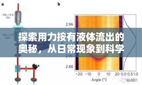 探索用力按有液體流出的奧秘，從日?，F(xiàn)象到科學(xué)解析