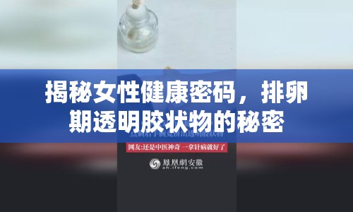 揭秘女性健康密碼，排卵期透明膠狀物的秘密