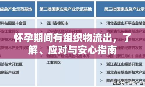 懷孕期間有組織物流出，了解、應(yīng)對與安心指南