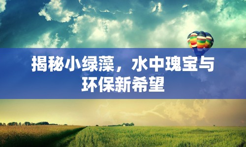 揭秘小綠藻，水中瑰寶與環(huán)保新希望