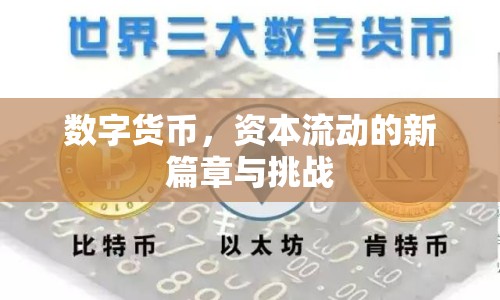 數(shù)字貨幣，資本流動的新篇章與挑戰(zhàn)