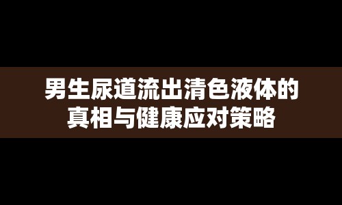 男生尿道流出清色液體的真相與健康應(yīng)對策略