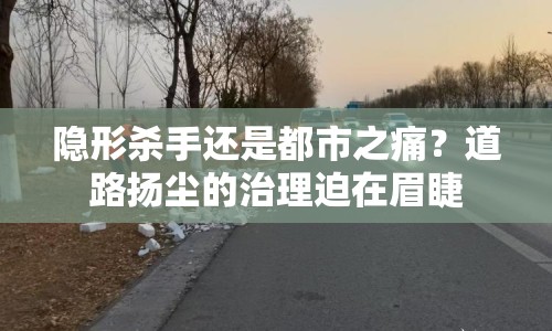 隱形殺手還是都市之痛？道路揚(yáng)塵的治理迫在眉睫