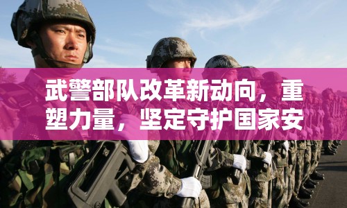 武警部隊改革新動向，重塑力量，堅定守護國家安寧的步伐