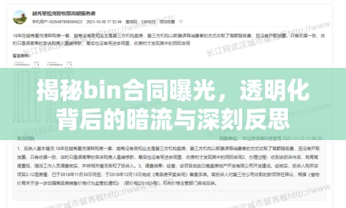 揭秘bin合同曝光，透明化背后的暗流與深刻反思