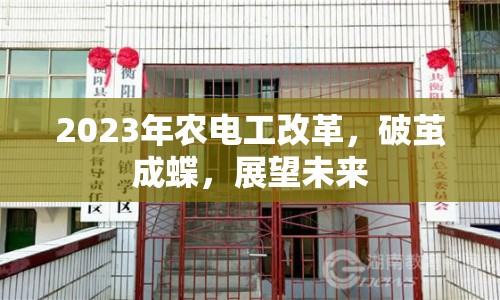 2023年農(nóng)電工改革，破繭成蝶，展望未來