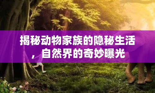 揭秘動(dòng)物家族的隱秘生活，自然界的奇妙曝光